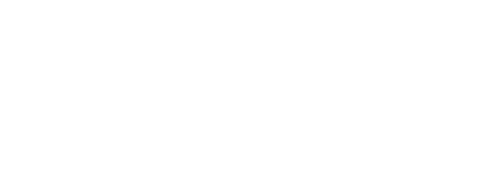 Nordpuls logotyp